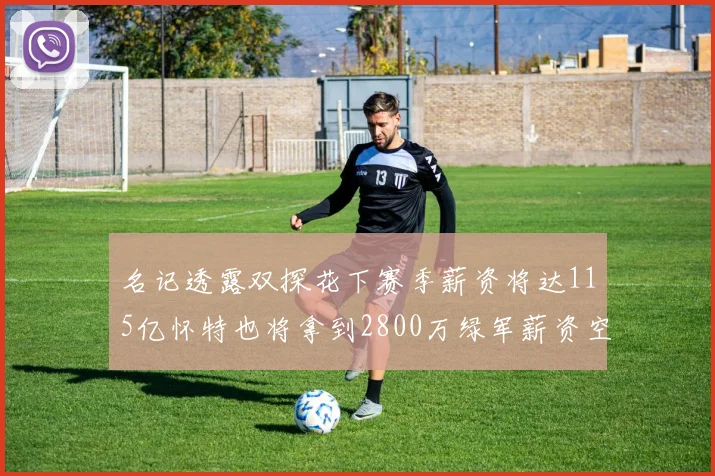 名记透露双探花下赛季薪资将达115亿怀特也将拿到2800万绿军薪资空间依旧紧张